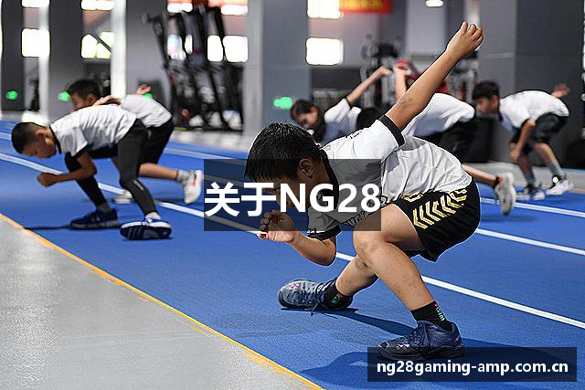 关于NG28
